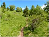 Planina Kuhinja - Planica pod Krnom